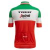 CJ338 Mens cycling professional kit of jersey back